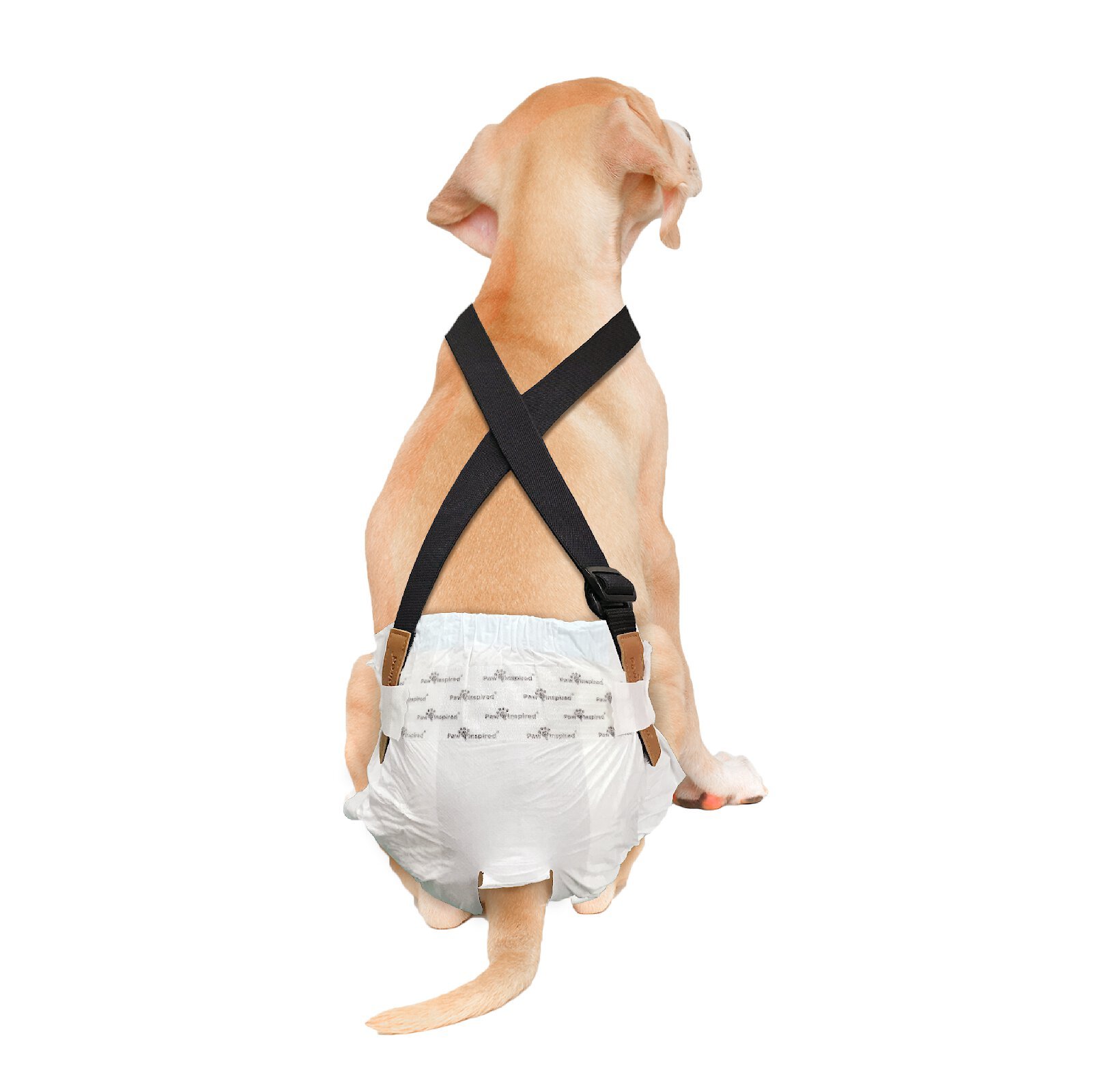 Is there a risk of choking the dog when they attempt to remove the