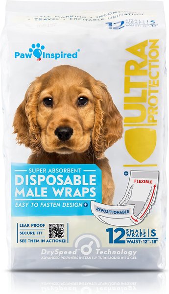 Paw Inspired Ultra Protection Disposable Belly Band Male Dog Wraps, Small: 12 to 18-in waist, 12 count slide 1 of 8