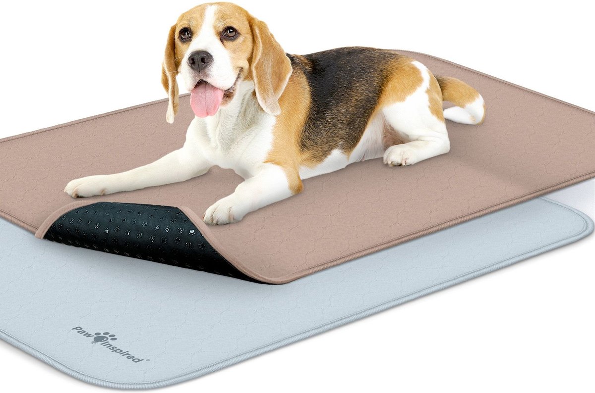 PAW INSPIRED Washable Dog Pee Pads, 34 x 22in, 2 count, Unscented