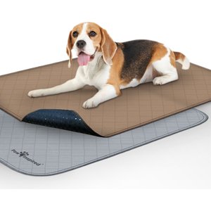 Reusable Washable Dog Pee Pad-72x72-Non-Slip Waterproof Floor Mat for  Senior Pets and Playpen-Gray 