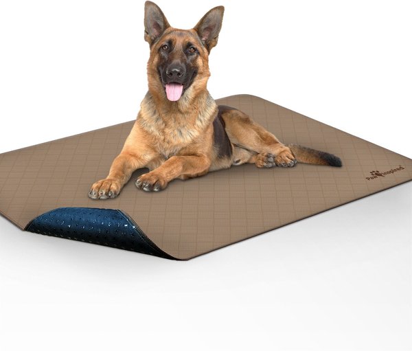 Woof With Multiple Paws Dog Food & Water Mat
