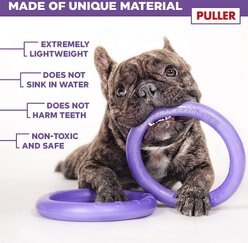 Puller Standard 11" Fitness Tool Dog Toy, 2 count slide 2 of 4