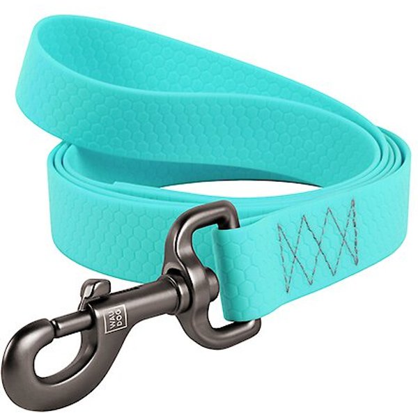 WAUDOG Glows In The Dark Dog Leash, 6ft long, 13/16in wide