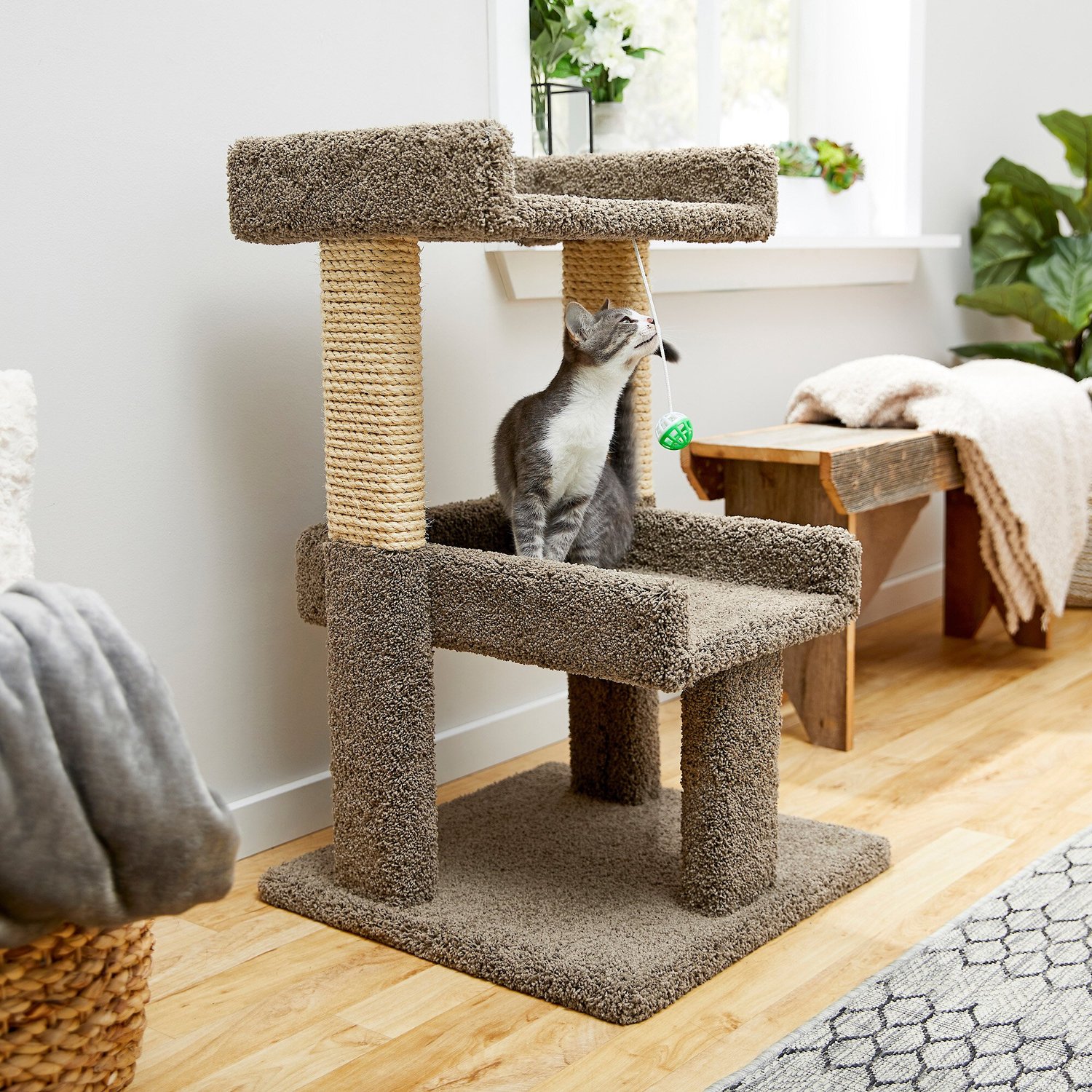 Frisco 32-in Real Carpet Wooden Cat Tree with Toy