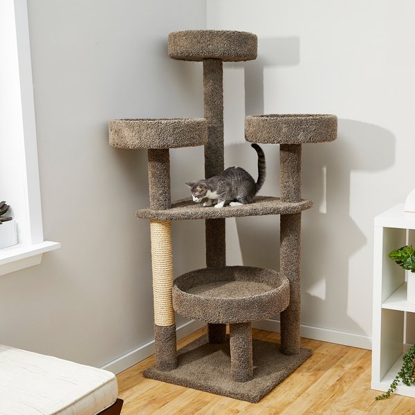 FRISCO Natural Wood Modern Cat Tree with Toy, Ivory, Large