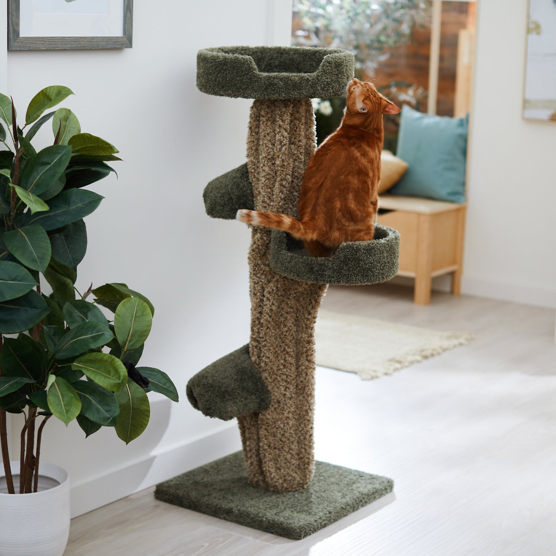 All wood cat tree no carpet best sale