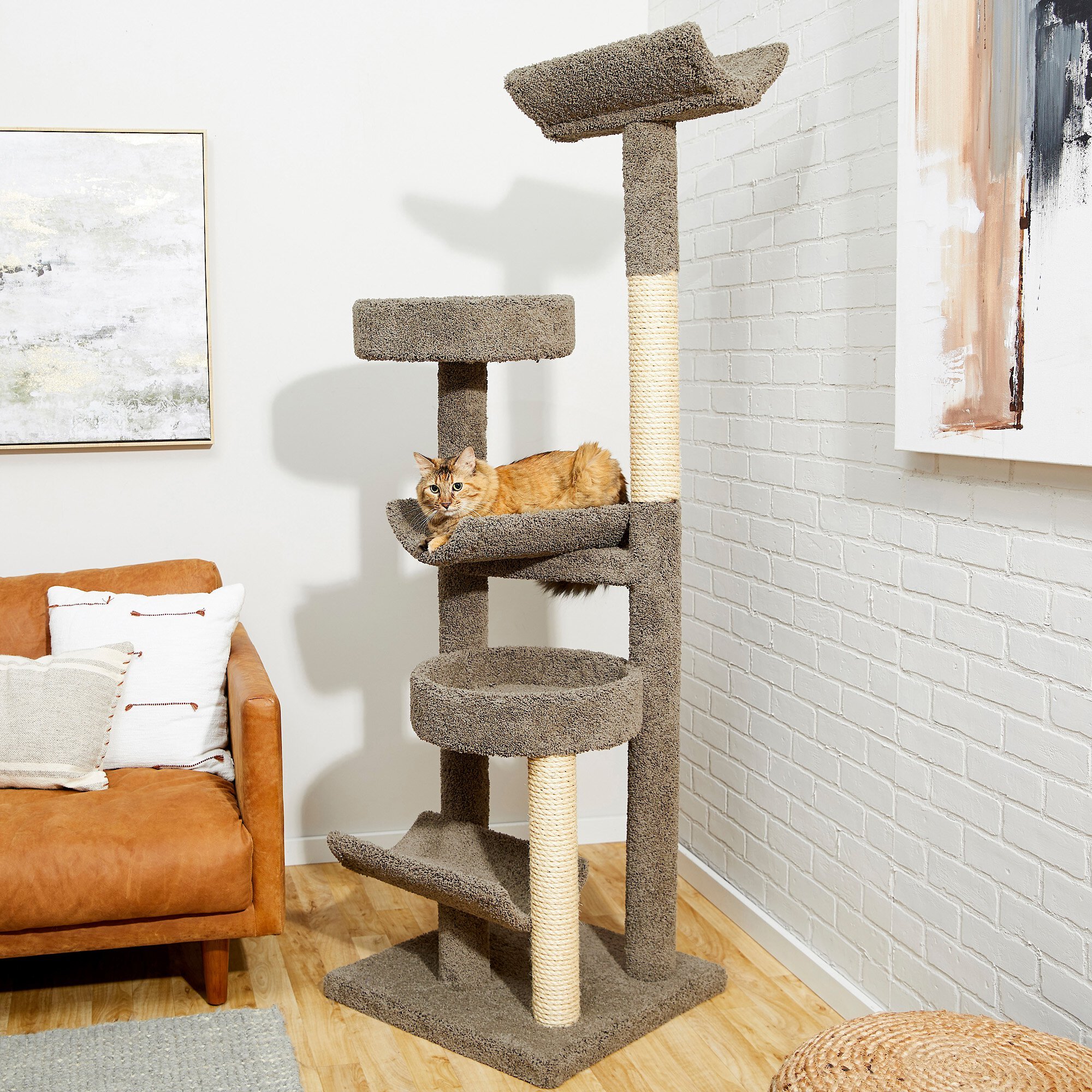 FRISCO 70in Real Carpet Wood Cat Tree Customer Questions