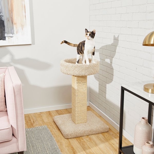 FRISCO 30in Real Carpet Wooden Cat Tree, Beige