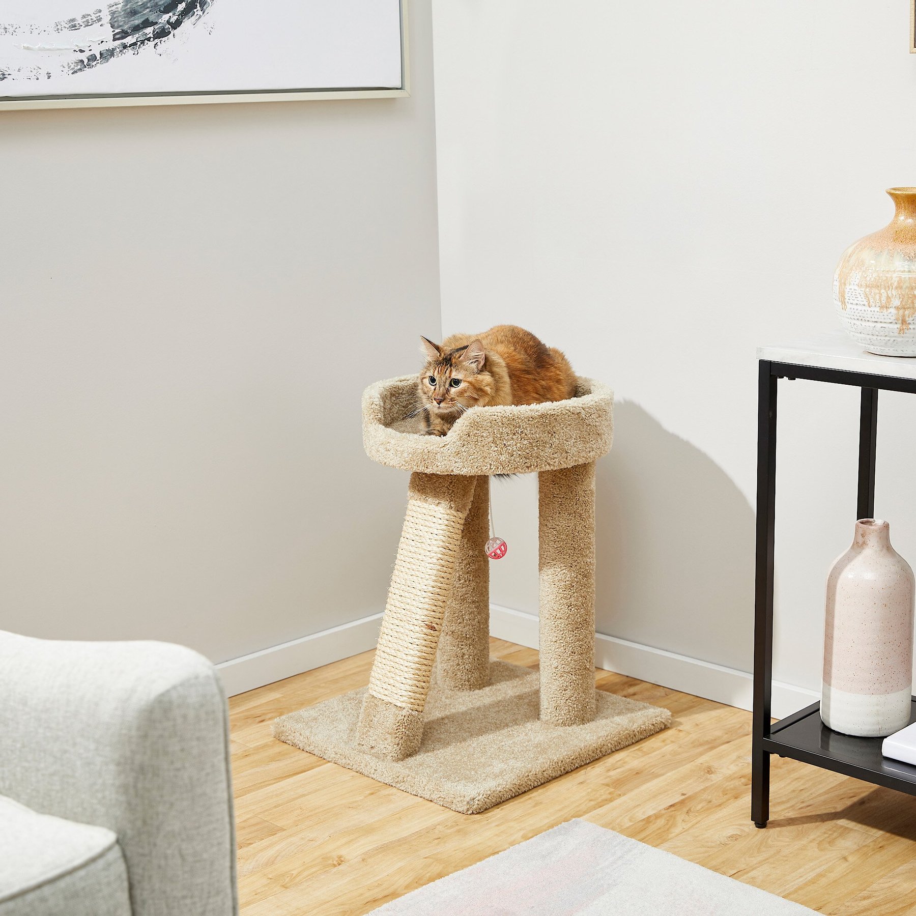 FRISCO 24-in Real Carpet Cat Scratching Perch with Toy, Beige - Chewy.com