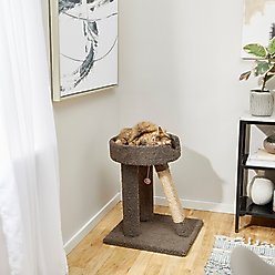 Frisco 24-in Real Carpet Cat Scratching Perch with Toy, Gray