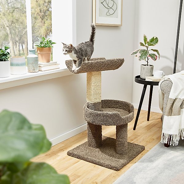 FRISCO 24in Real Carpet Cat Scratching Perch with Toy, Gray