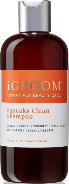 iGroom Squeaky Clean Dog Shampoo, 16-oz bottle slide 1 of 1