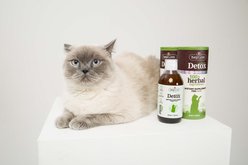 heyLove Natural Detox Dietary Cat Supplement, 8.45-oz bottle slide 2 of 3