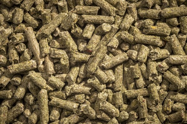 Modesto Milling Organic Horse Supplement Pellets Horse Feed, 25-lb bag