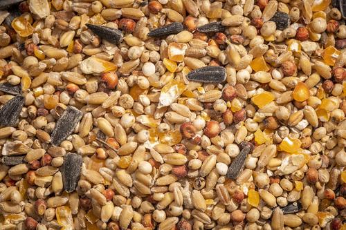 Show full view: Modesto Milling Organic 9.2% Protein Scratch Chicken Feed, 25-lb bag slide 3 of 6