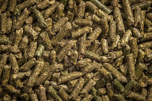 Show full view: Modesto Milling Organic Rabbit & Chinchilla Food, 25-lb bag slide 2 of 6