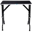 Master Equipment Adjustable Height Dog Grooming Table