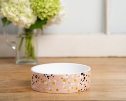 Park Life Designs Paris Ceramic Dog & Cat Bowl, 2-cup