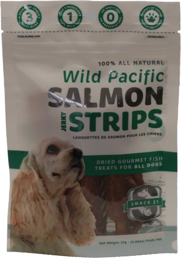 snack 21 salmon snacks for dogs