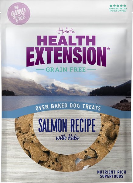 Health Extension Grain-Free Oven Baked Salmon Recipe with Kale Dog Treats, 2.25-lb bag slide 1 of 4