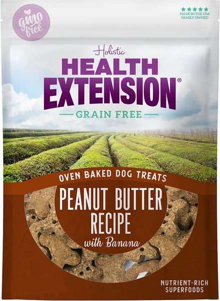 Health Extension Grain-Free Oven Baked Peanut Butter Recipe with Banana Dog Treats, 2.25-lb bag slide 1 of 4
