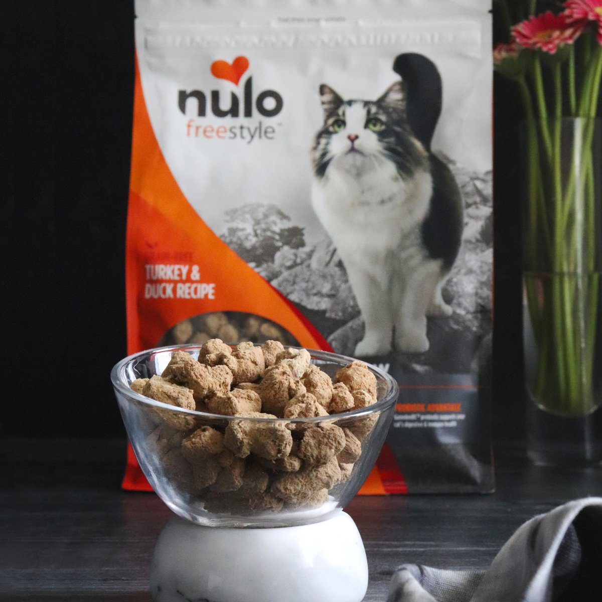 Nulo freeze clearance dried raw