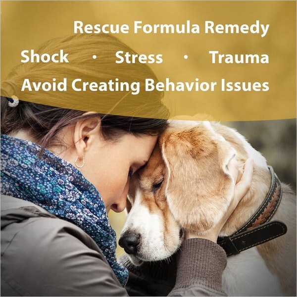 Botanical Animal Flower Essences Clear Thinking Calming Pet Supplement, 1-fl oz bottle