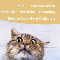 Botanical Animal Flower Essences Panic Attack Calming Pet Supplement, 1-oz bottle slide 2 of 6