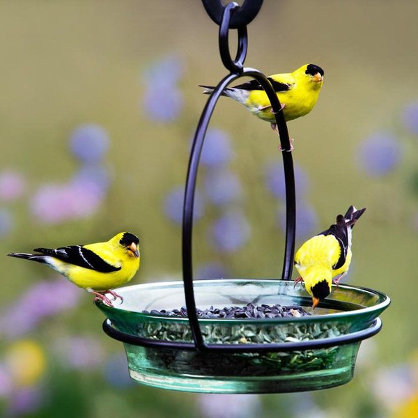 Mosaic Birds Cuban Hanging Bird Bath & Feeder, 20-oz