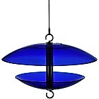 Cobalt Blue