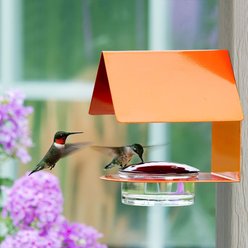 Mosaic Birds The Cottage HummingBird Feeder, 3.4-oz, Orange slide 2 of 2