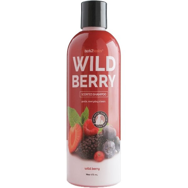 JOHN PAUL PET Tea Tree Shampoo for Dogs, 16oz bottle