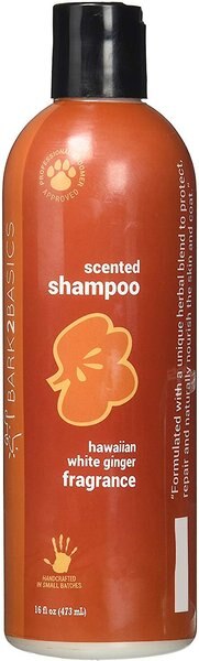 KONG Sensi-Care Dog Shampoo, 16-oz bottle