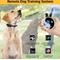 Show in main carousel: Educator By E-Collar Technologies Zen Mini 1/2 Mile E-Collar Waterproof Dog Training Collar, 2 collars slide 3 of 7