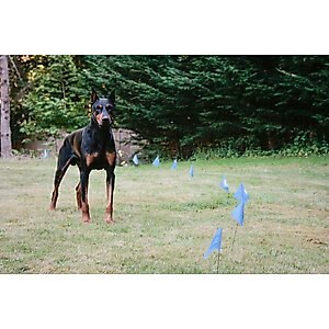Educator By E-Collar Technologies Educator E-Fence Underground Fence Dog Containment System Boundary Flags