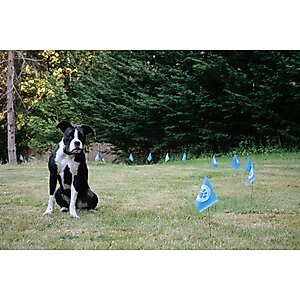 Educator By E-Collar Technologies Educator E-Fence Underground Fence Dog Containment System Boundary Flags