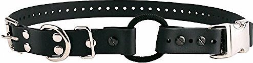 Educator By E-Collar Technologies Educator Quick Snap Bungee Dog Collar, Black, 3/4-in slide 1 of 5