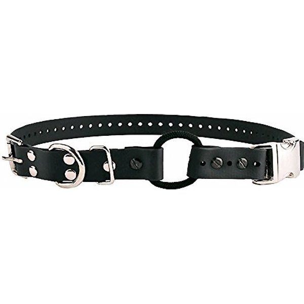EDUCATOR By ECollar Technologies Educator Quick Snap Bungee Dog Collar