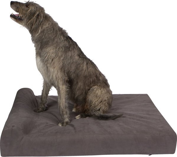 Pet Support Systems Lucky Dog Orthopedic Bolster Dog Bed, Charcoal Gray, Large slide 1 of 6