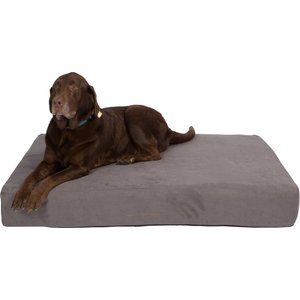Pet Support Systems Lucky Dog Orthopedic Pillow Dog Bed, Charcoal Gray, Large