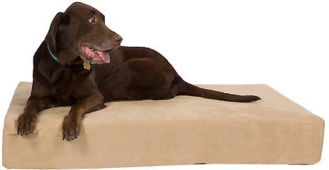 Pet Support Systems Lucky Dog Orthopedic Pillow Dog Bed, Khaki/Tan, X-Large slide 1 of 6