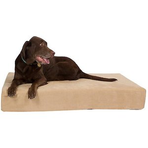 Pet Support Systems Lucky Dog Orthopedic Pillow Dog Bed, Khaki/Tan, X-Large