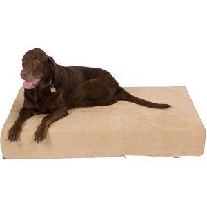 Pet Support Systems Lucky Dog Orthopedic Pillow Dog Bed, Khaki/Tan, Large