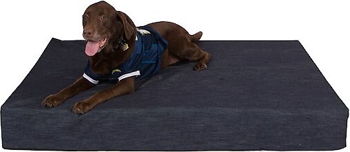 Pet Support Systems Lucky Dog Orthopedic Pillow Dog Bed, Blue, XXX-Large slide 1 of 6