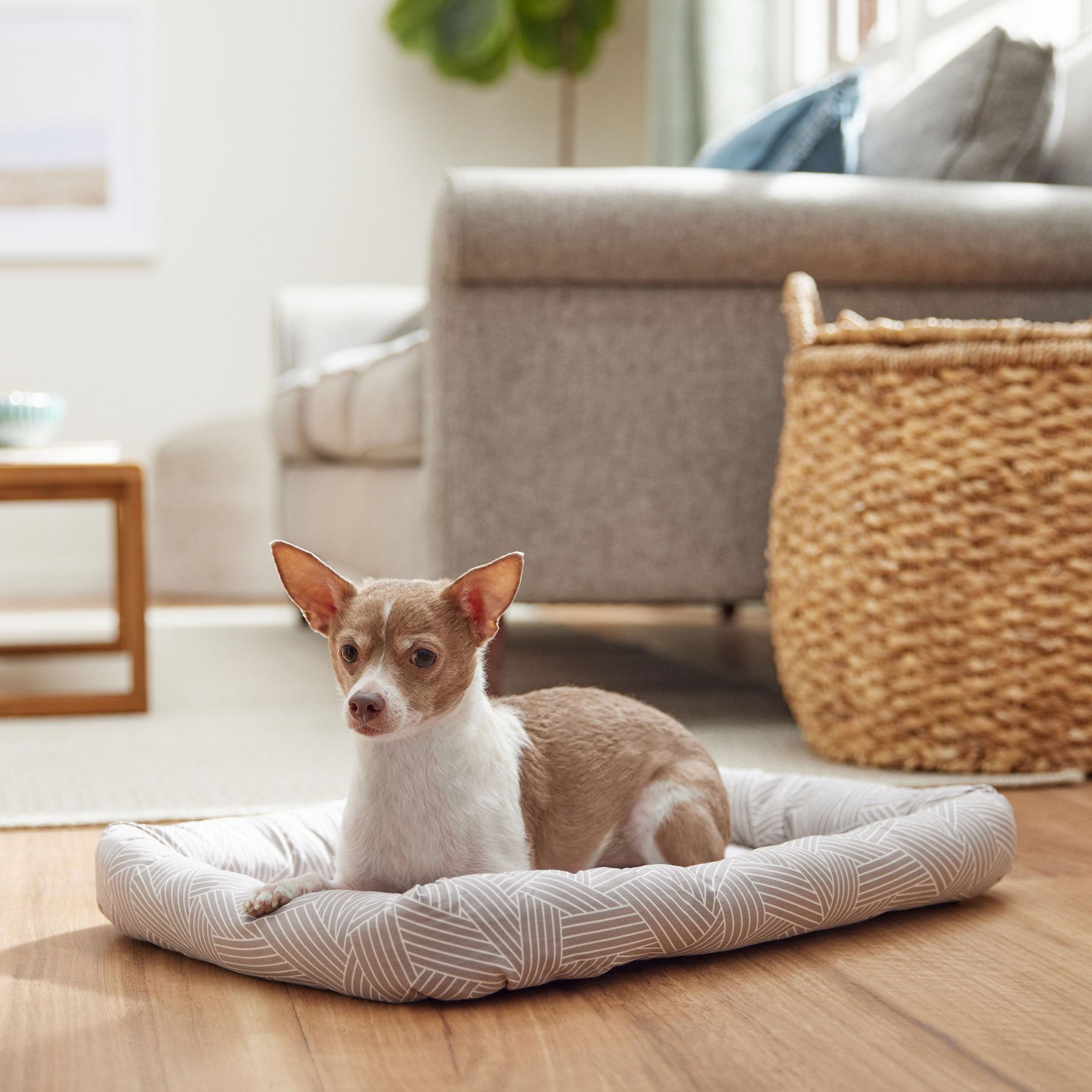 FRISCO Quilted Dog Crate Mat, Ivory, 54-in 