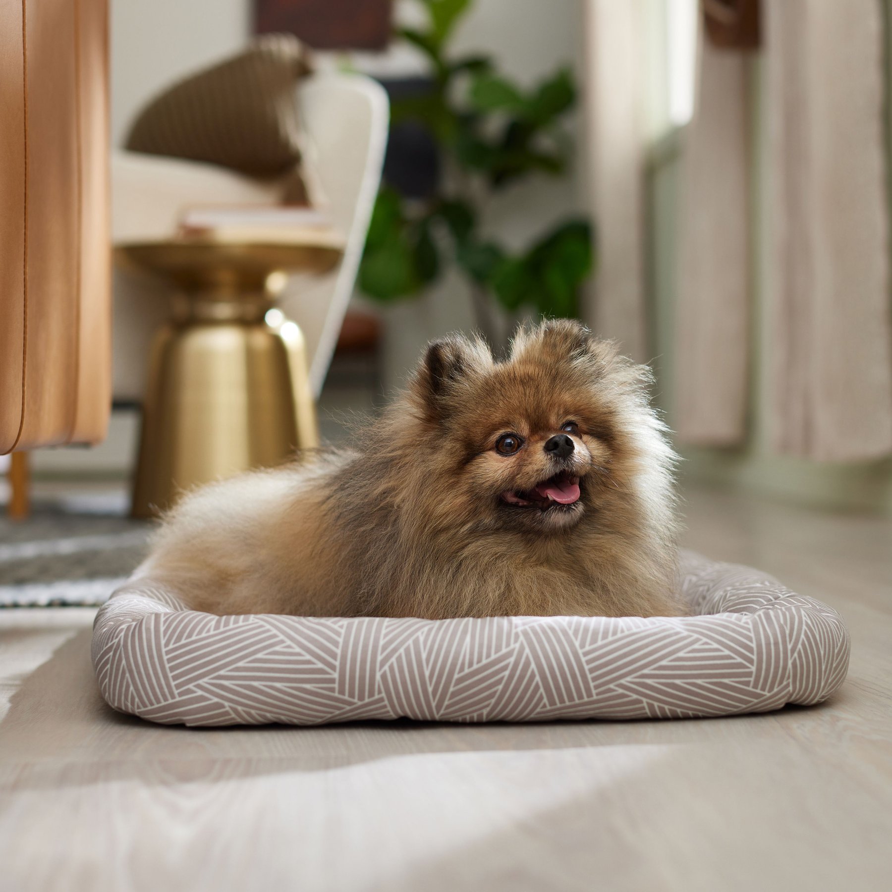 Image showcasing FRISCO Gray Basket Weave Dog Crate Mat, 30-in - Chewy.com