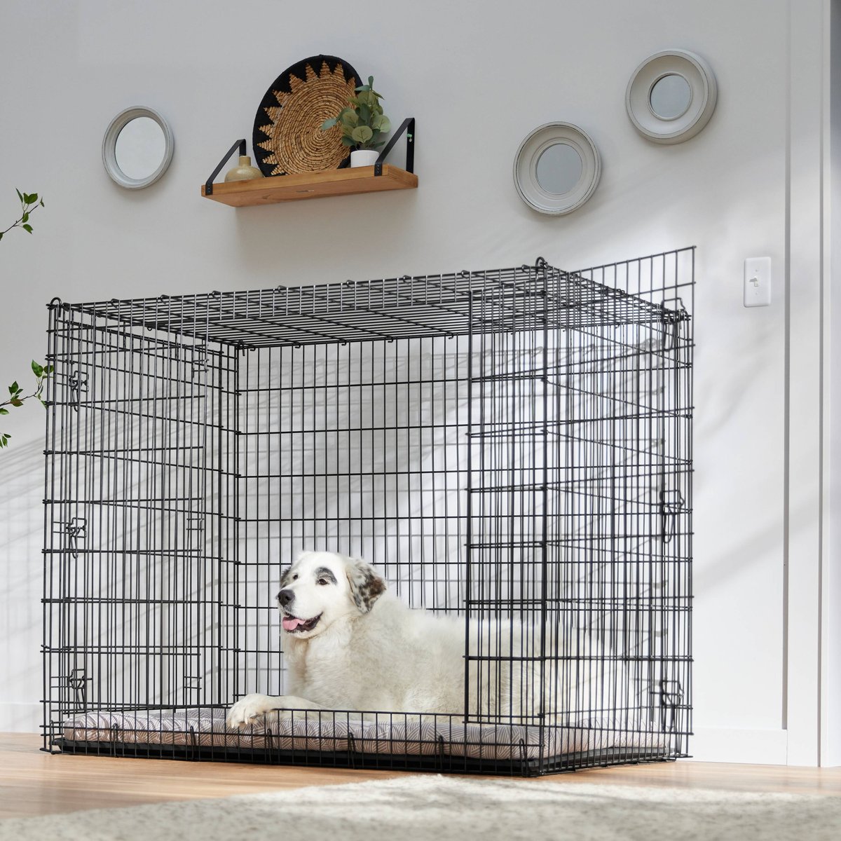 View of FRISCO Gray Basket Weave Dog Crate Mat, 54-in - Chewy.com