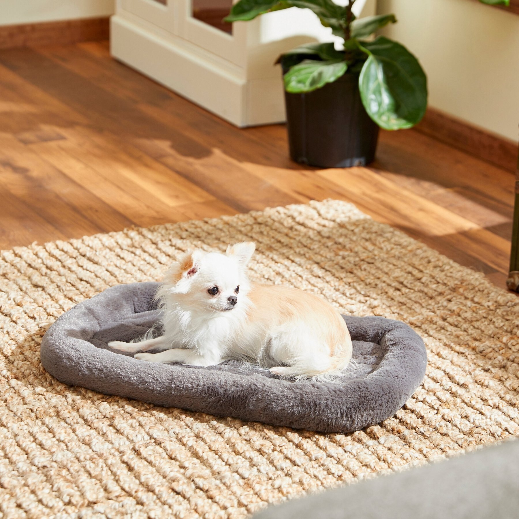 Clearance chewy crate mat Flash Sales
