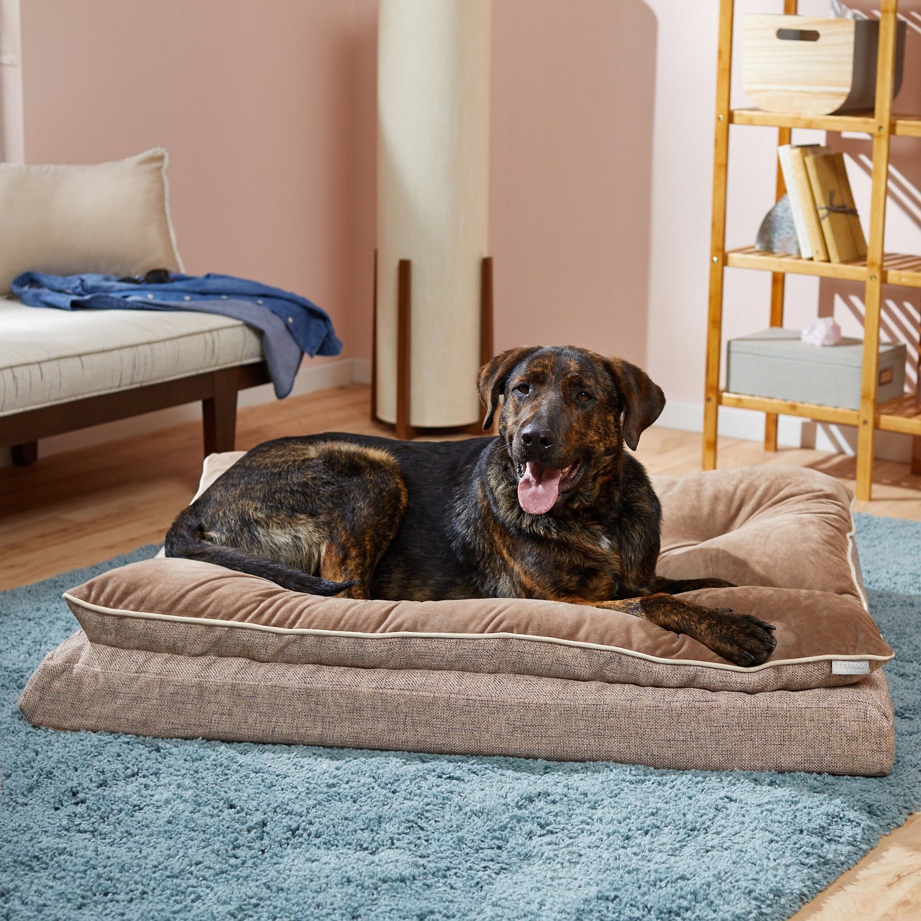 Pillow top orthopedic dog bed best sale