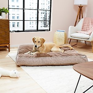 Frisco Plush Pillow Cat & Dog Bed w/ Removable Cover, Beige, XX-Large